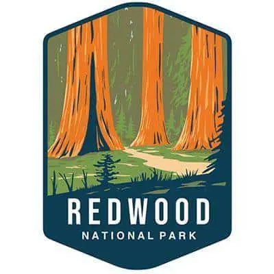 Redwood National Park