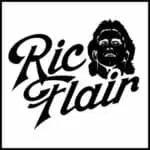 Ric Flair logo