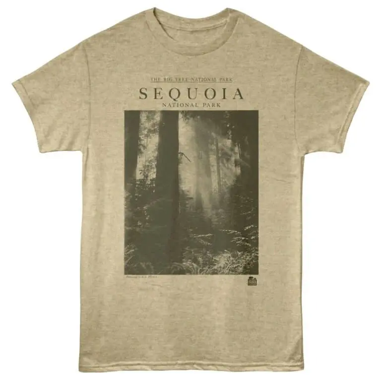 Sequoia Big Tree Park Men's T Shirt