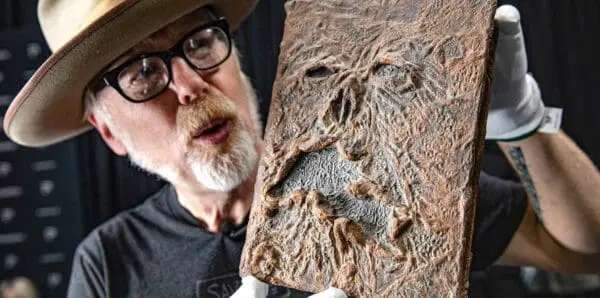 An expert holds a detailed dinosaur fossil with intricate carvings and realistic textures, showcasing ancient history and paleontology.