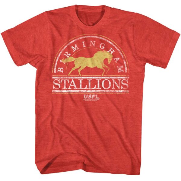 USFL Birmingham Stallions T-Shirt
