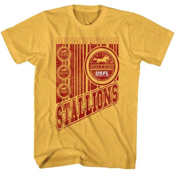 USFL Birmingham Stallions T-Shirt