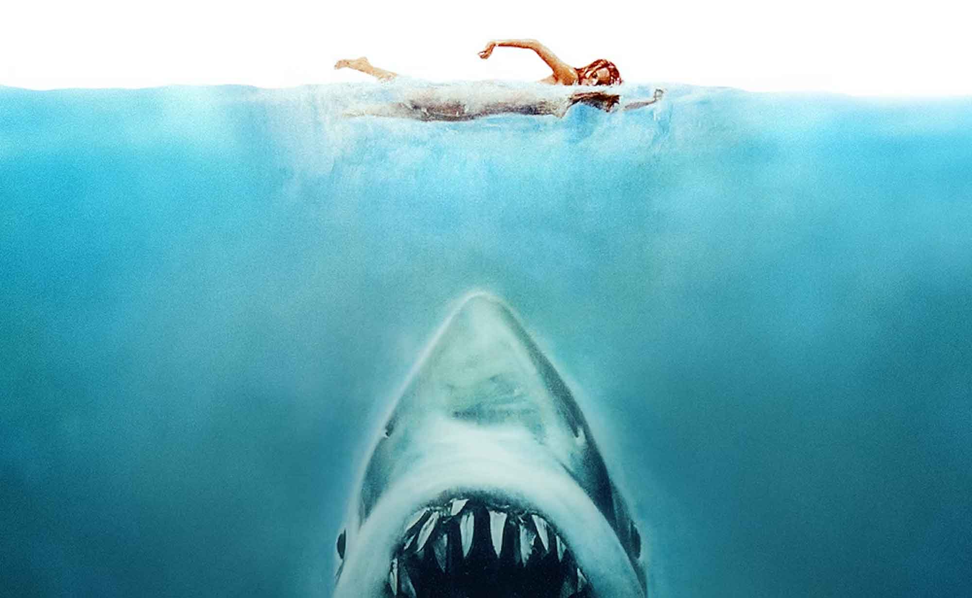 Jaws Swimmer