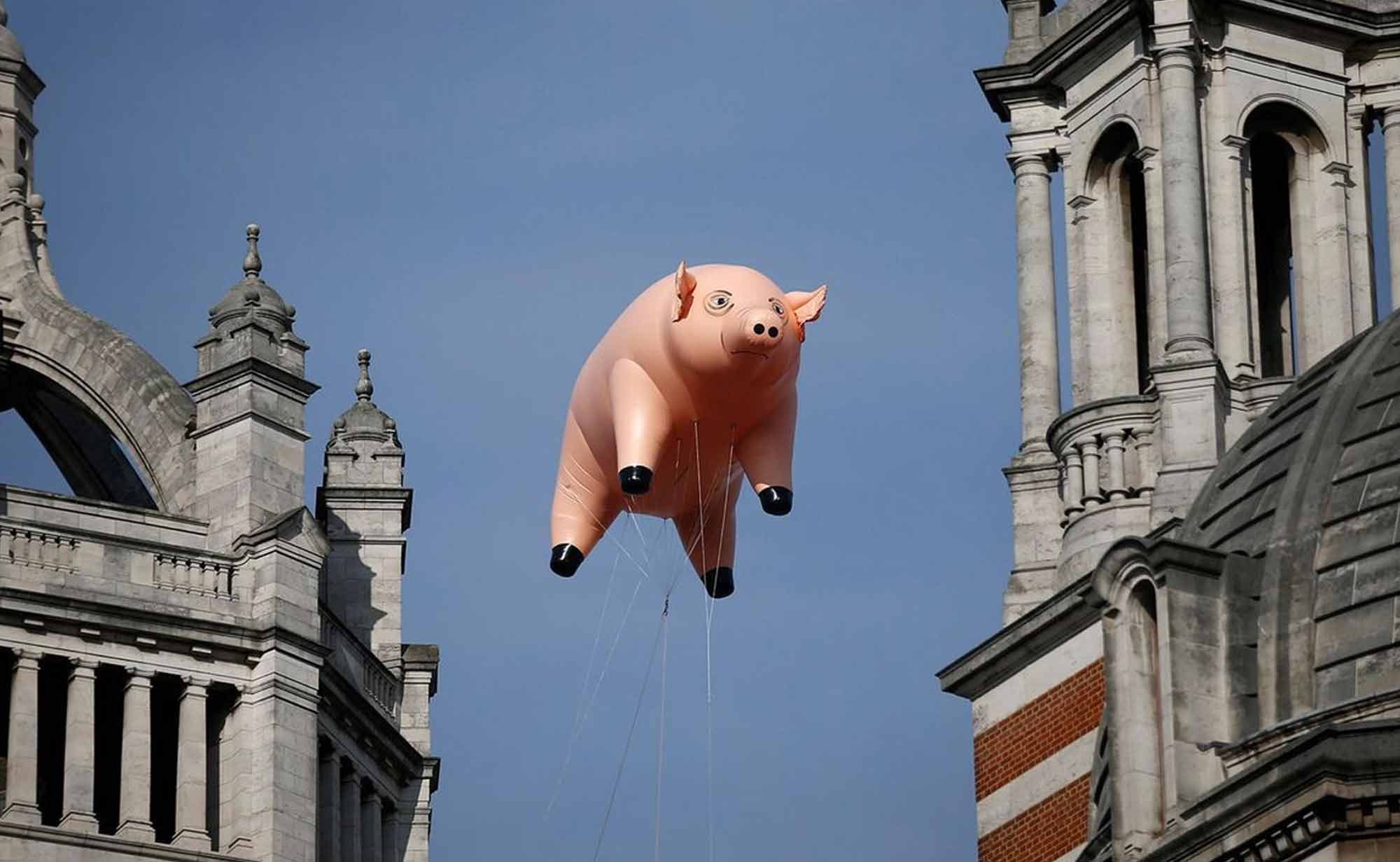Pink floyd pig in london