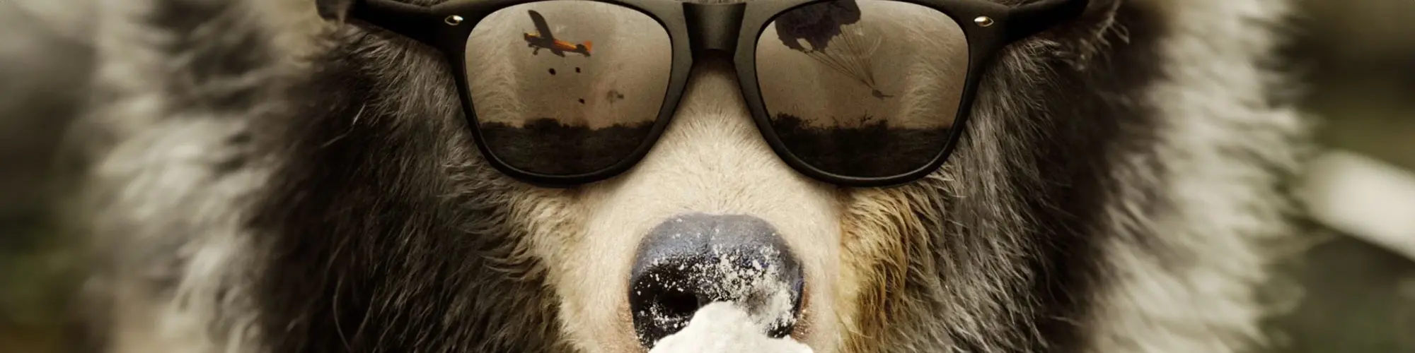 Cocaine Bear header