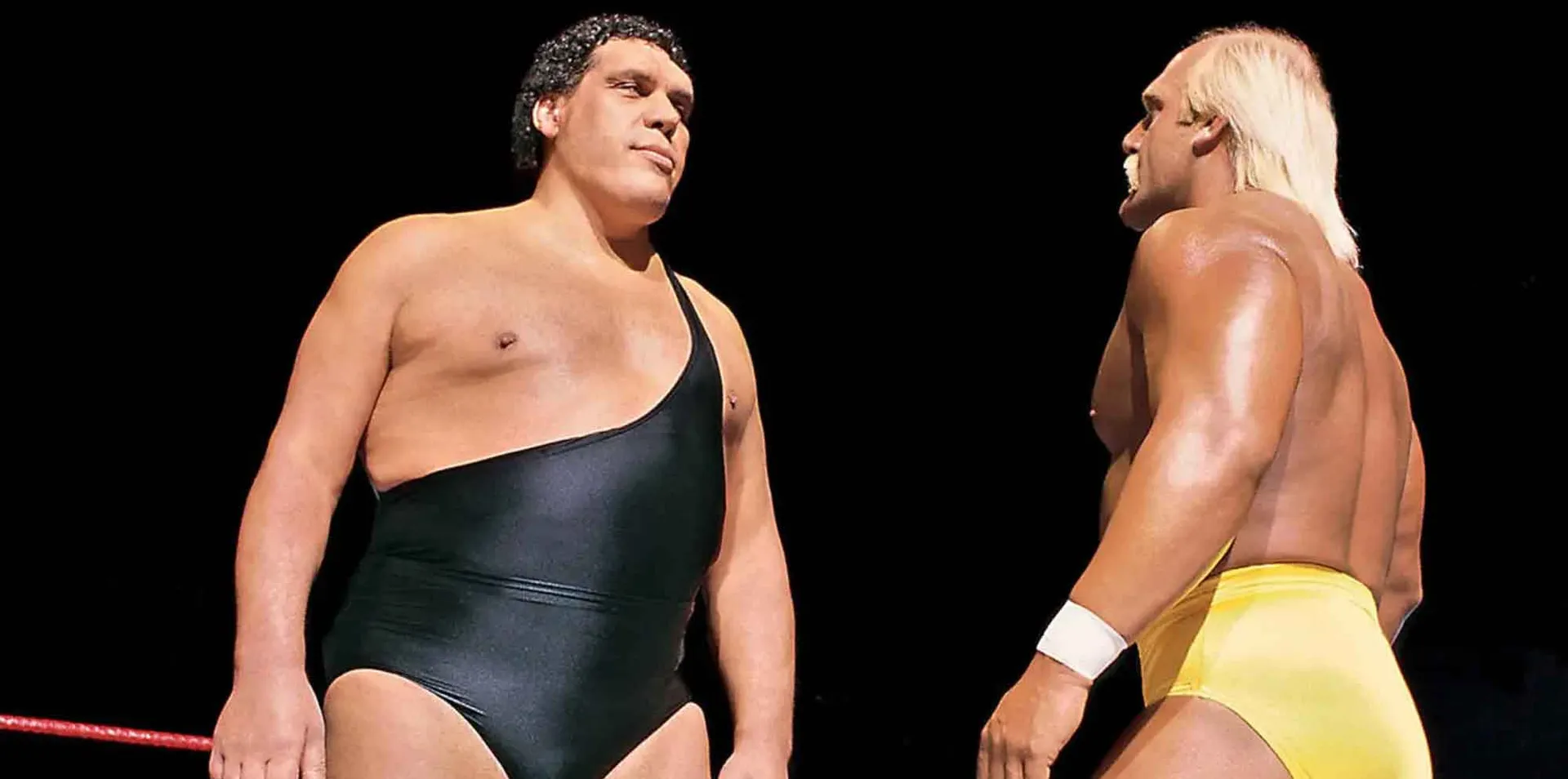 Andre the Giant v Hulk