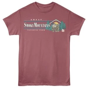 National Park Great Smoky Mountains Vintage Men’s T Shirt