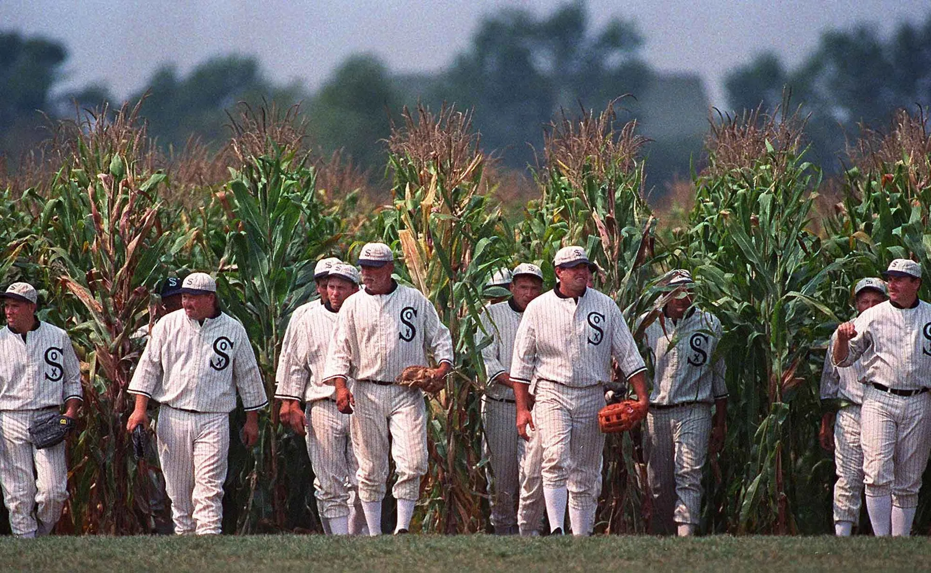 Field of dreams header