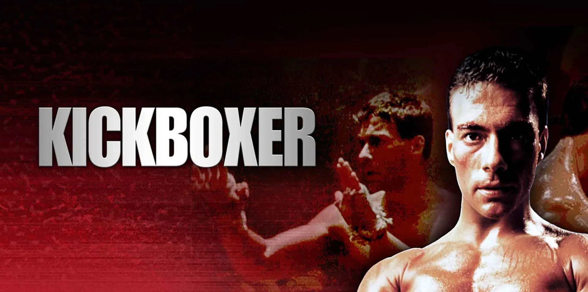 kickboxer dvd