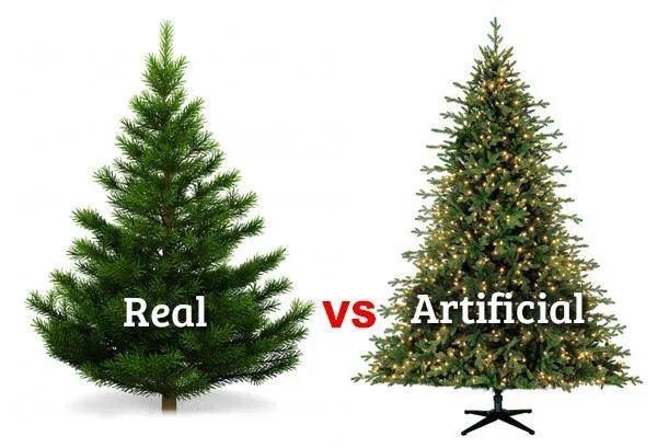 real v fake xmas