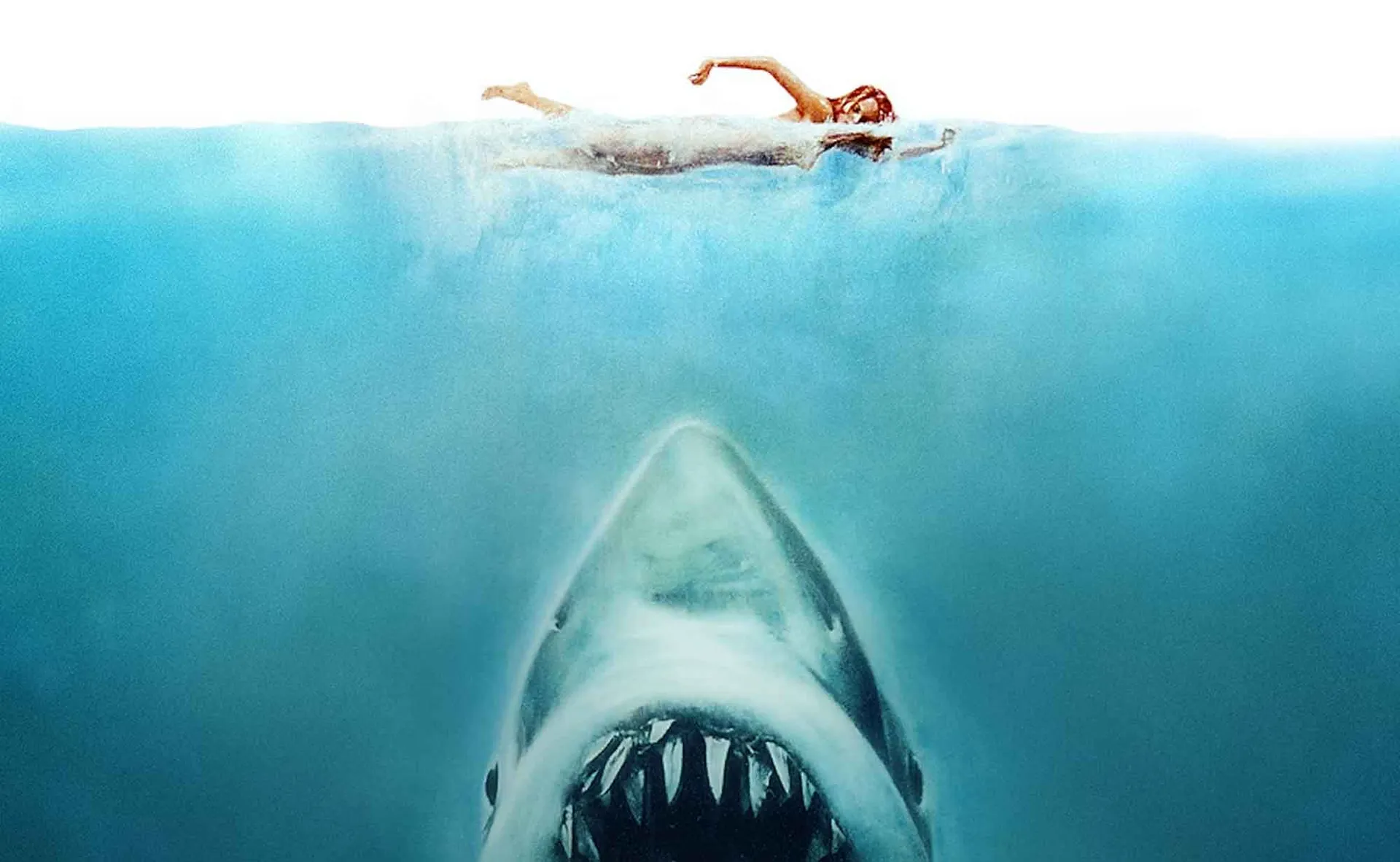 Jaws Swimmer